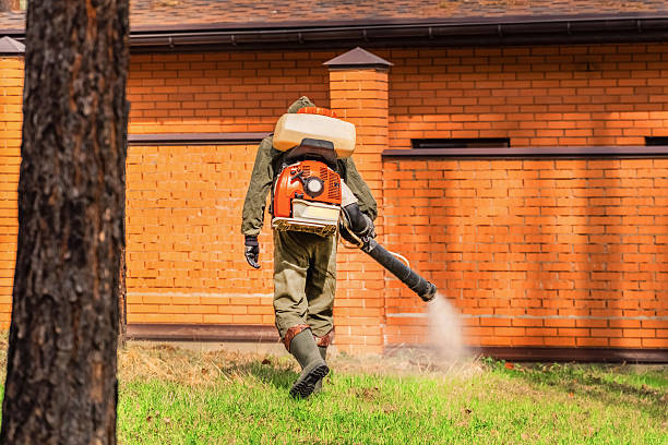Trusted Cockroach Control service in Lindenwold, NJ - Nex Pest Control
